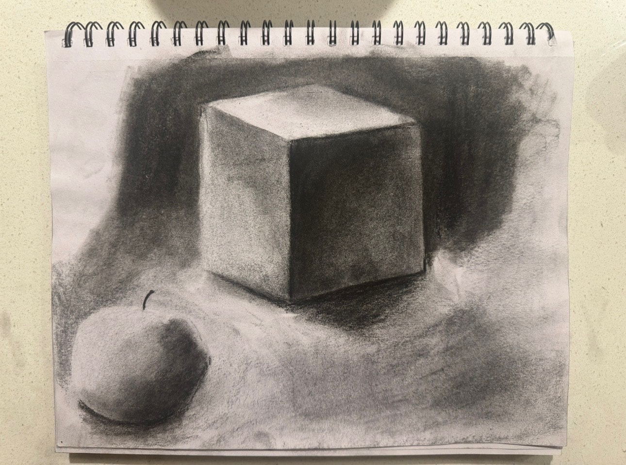 Still Life Study